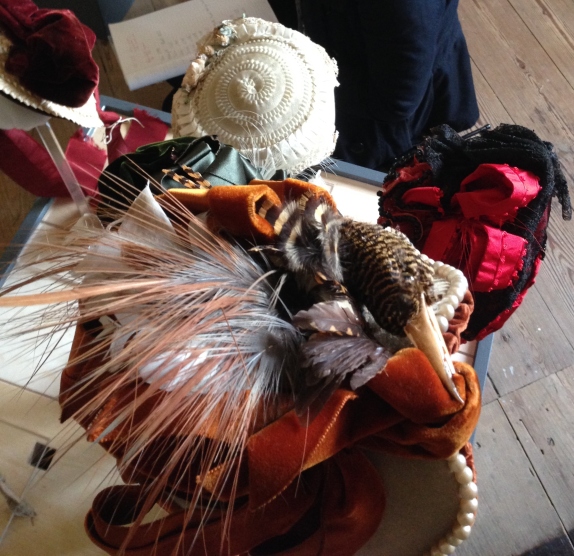 1880s-90s Bird Hat, on loan from the Hereford Museum Resource and Learning Centre